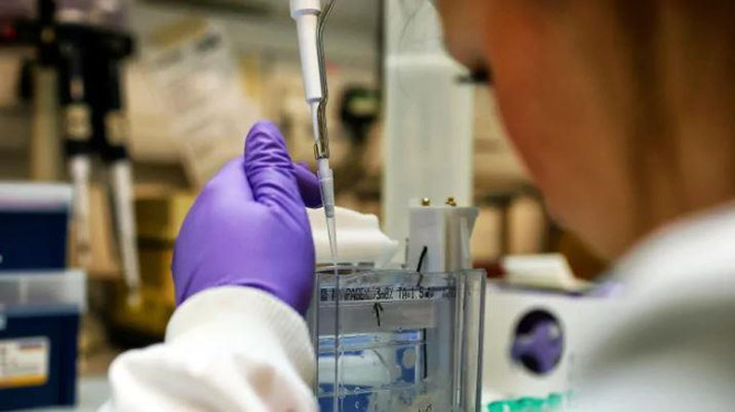 Nhiều phát minh của Canada nằm trong tay doanh nghiệp nước ngoài ảnh 1