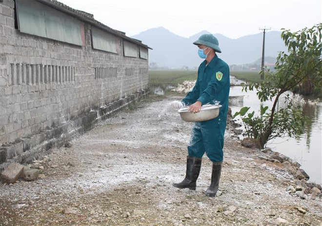 Quảng Ninh khống chế kịp thời dịch cúm gia cầm H5N6 ảnh 1