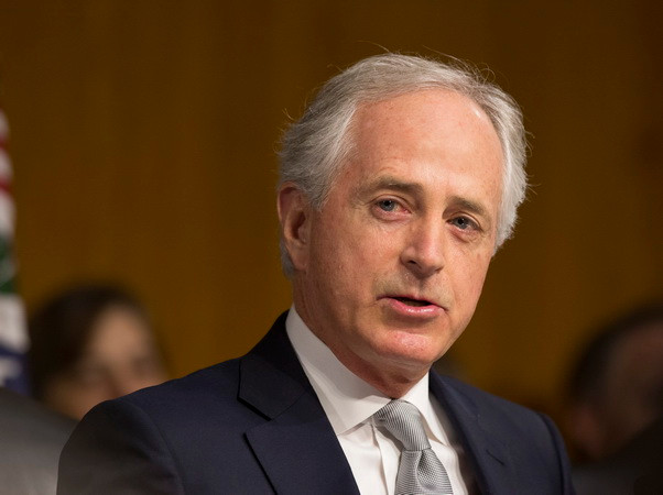 Tổng thống Venezuela tiếp Chủ tịch Ủy ban Đối ngoại Thượng viện Mỹ ảnh 1