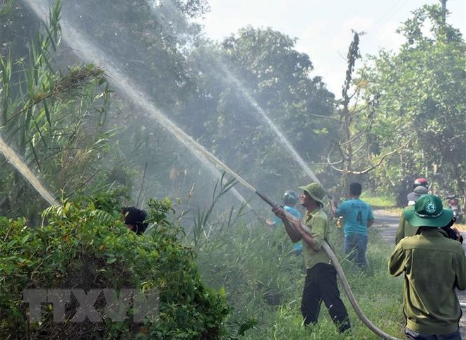Ban quản lý Vườn Quốc gia U Minh Hạ thường xuyên tổ chức các đợt diễn tập phòng cháy chữa cháy cho cán bộ, lực lượng bảo vệ rừng tại đơn vị. (Ảnh: Huỳnh Anh/TTXVN) Cà Mau: Rừng U Minh Hạ cảnh báo nguy cơ cháy cực kỳ nguy hiểm ảnh 2