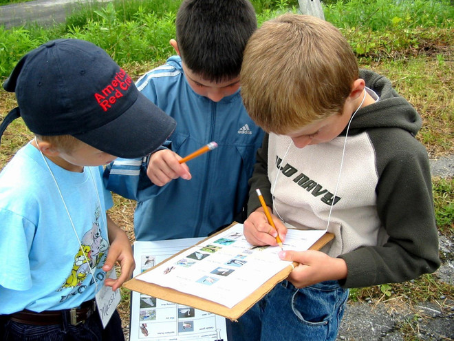Mỹ: Bang New York khuyến khích việc dạy học ngoài trời ảnh 1