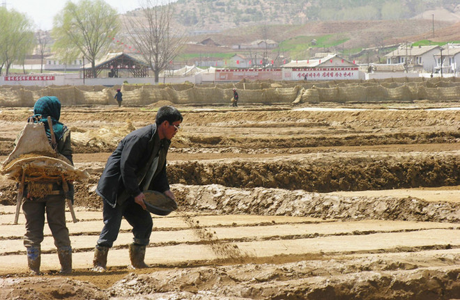 Triều Tiên thử nghiệm mô hình "khoán nông nghiệp" ảnh 1