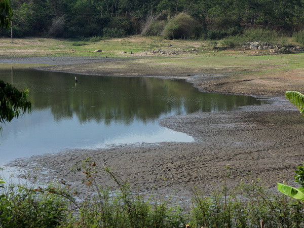 Mùa mưa năm nay có thể kết thúc sớm hơn so với bình thường ảnh 1