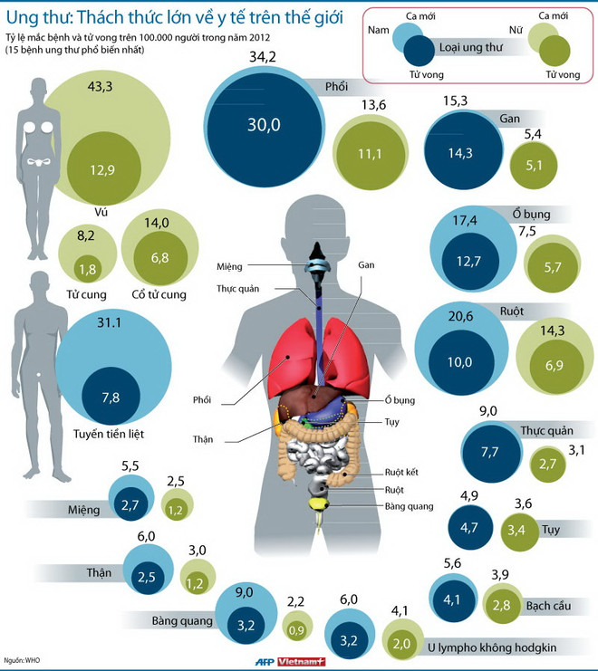 Ung thư - Thách thức lớn về y tế trên toàn thế giới ảnh 1