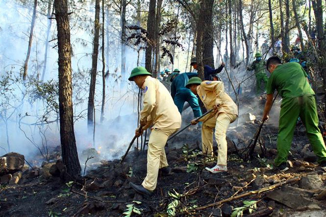 Khám nghiệm hiện trường, làm rõ nguyên nhân gây cháy rừng tại Nghệ An ảnh 1