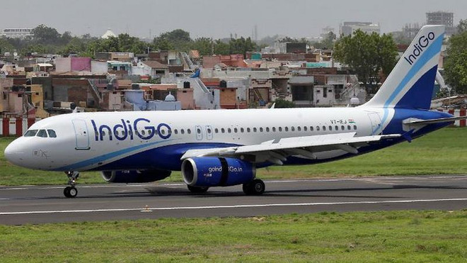Hàng không Ấn Độ mở 2 đường bay thẳng đến Việt Nam trong tháng 10 tới ảnh 1