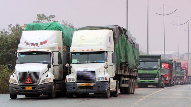 Tỉnh Quảng Ninh giữ vùng xanh an toàn, xuất khẩu tăng nhẹ ảnh 1