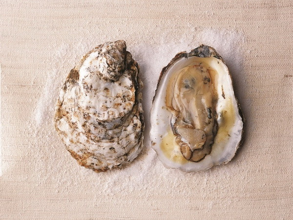 Thực phẩm giúp bạn tạm biệt tình trạng rụng tóc ảnh 1