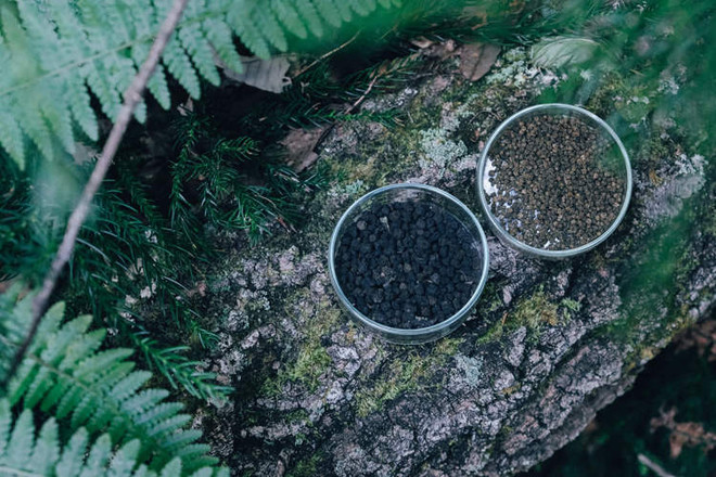 Chu-hi-cha, loại trà đặc biệt làm từ chất thải của sâu bướm ảnh 2