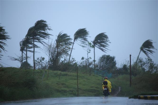 Gió giật mạnh trước khi bão Vamco đổ bộ vào thành phố Legazpi, tỉnh Albay, Philippines. (Ảnh: AFP/TTXVN) Philippines: Bão Vamco gây ngập lụt trên diện rộng ở thủ đô Manila ảnh 1