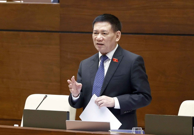 Bảo hiểm tăng nhanh về lượng nhưng chưa tương xứng về chất ảnh 1