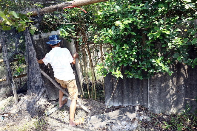 Dự án đường vành đai 4 sẽ tạo ra động lực bứt phá mới cho Thủ đô ảnh 2