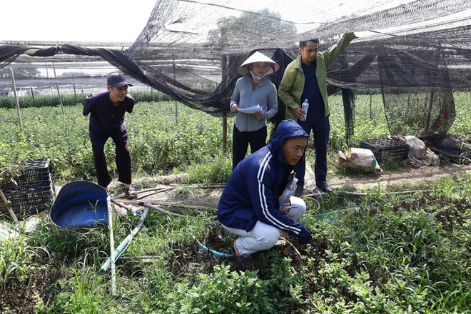 Dự án đường vành đai 4 sẽ tạo ra động lực bứt phá mới cho Thủ đô ảnh 3