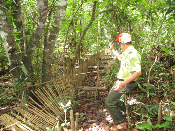 Kon Tum thả 27 cá thể động vật hoang dã về môi trường tự nhiên ảnh 1