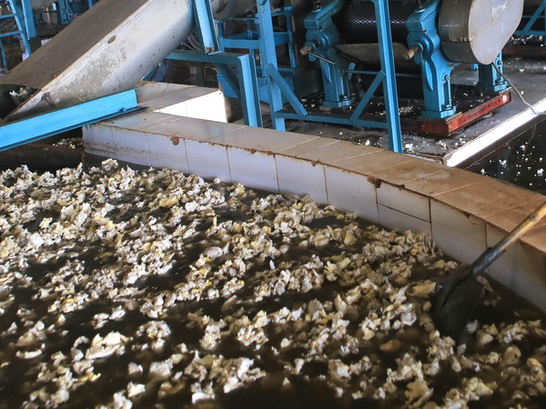 Ngừng vận hành thử nghiệm Nhà máy chế biến mủ cao su APT ảnh 1