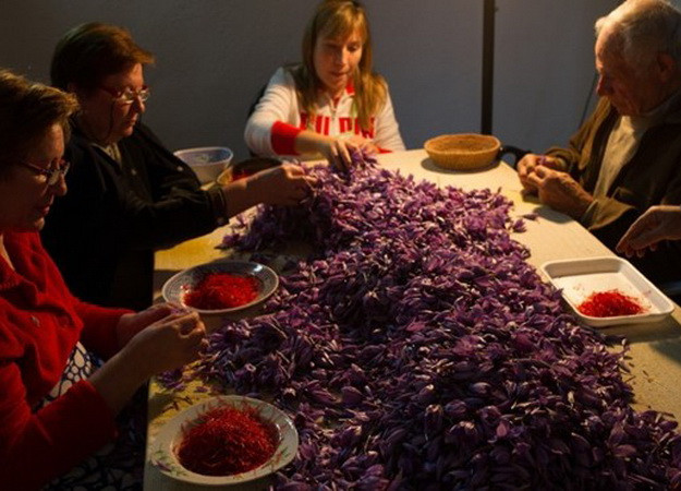 "Siêu gia vị" saffron của Iran sắp quay lại Mỹ sau 15 năm ảnh 1
