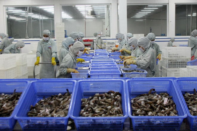 Hải quan giới thiệu Hiệp định tạo thuận lợi thương mại của WTO ảnh 1