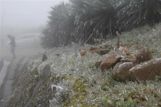 Lạng Sơn: Nhiệt độ xuống mức âm, Mẫu Sơn xuất hiện băng giá ảnh 1