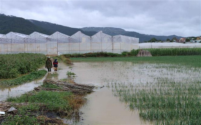 Giải cứu kịp thời 6 người dân bị mắc kẹt khi thuỷ điện Đa Nhim xả lũ ảnh 1