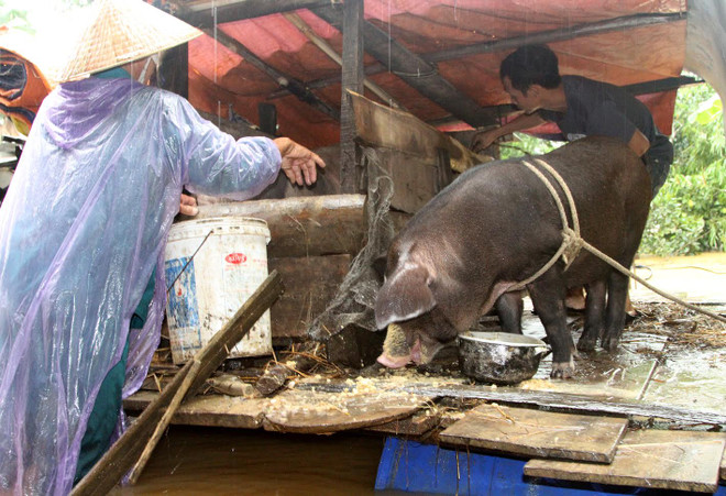 Tình người ấm áp ngay giữa vùng “rốn lũ” Hương Khê ảnh 2