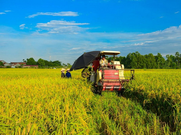 Tiếp tục tái cơ cấu nền kinh tế, đảm bảo an sinh xã hội ảnh 2