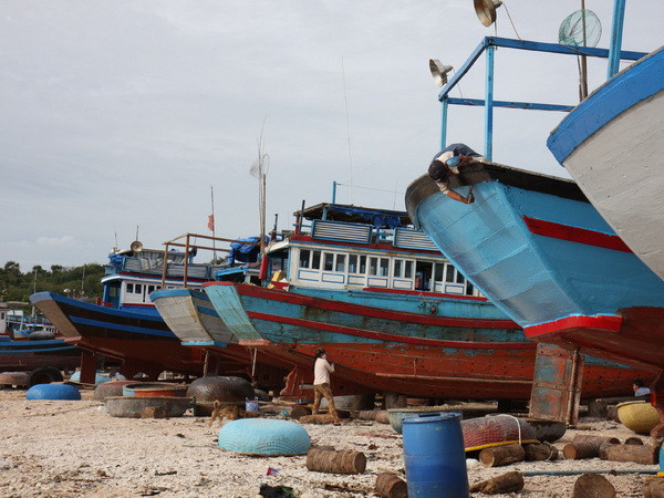 Tiếp tục tái cơ cấu nền kinh tế, đảm bảo an sinh xã hội ảnh 4