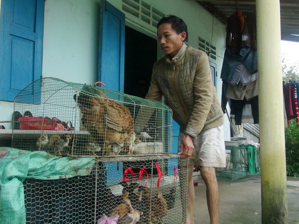 Chủ động ứng phó với áp thấp nhiệt đới, mưa lũ và không khí lạnh ảnh 1