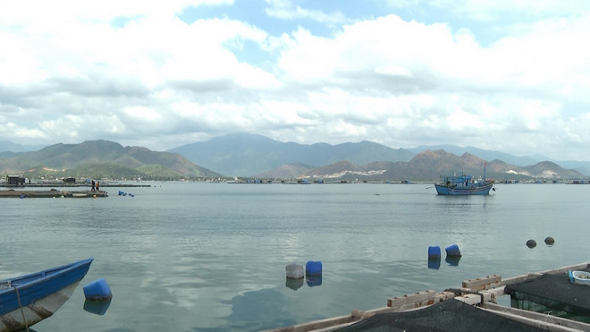 Vùng nuôi Vạn Ninh bị ảnh hưởng nặng nề. (Ảnh: TTXVN phát) ttxvn_1204_tom hum (2).jpg