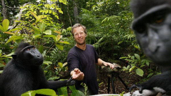 Cuộc chiến bản quyền quanh bức ảnh "selfie" của một chú khỉ ảnh 2