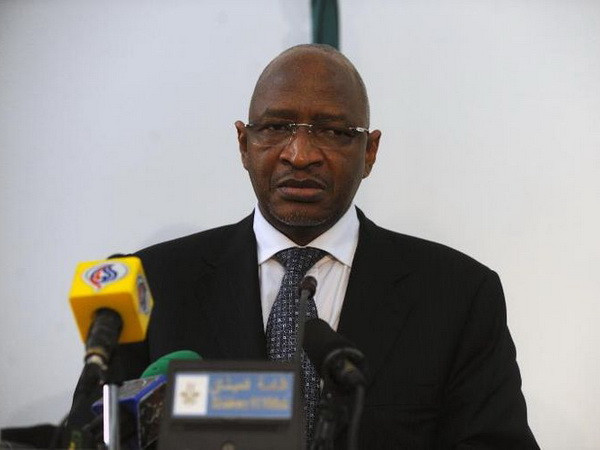 Mali bổ nhiệm Đại tá nghỉ hưu làm Bộ trưởng Quốc phòng mới ảnh 1