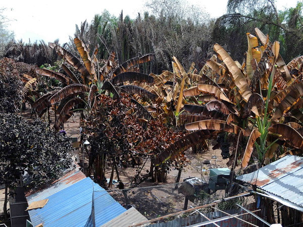 Sẽ thanh tra toàn diện công ty để xảy ra sự cố rò rỉ khí Amoniac ảnh 1