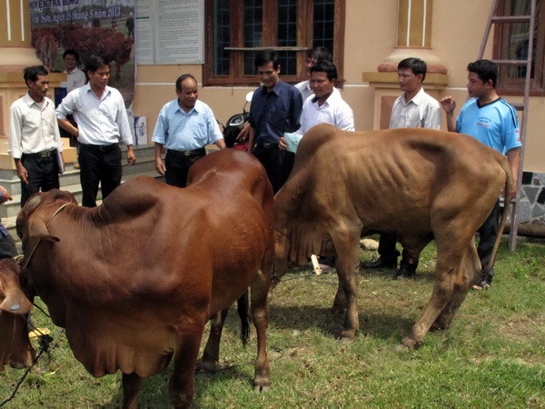 Chính phủ đầu tư 90.000 tỷ đồng mỗi năm cho giảm nghèo ảnh 1