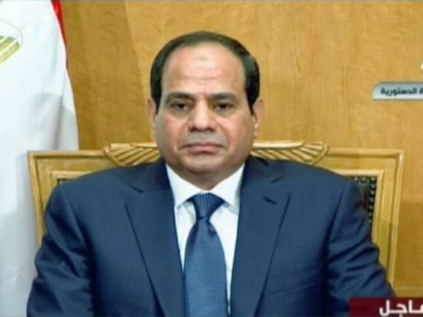 Tổng thống Ai Cập tuyên bố ra tranh cử nhiệm kỳ hai vào 2018 ảnh 1