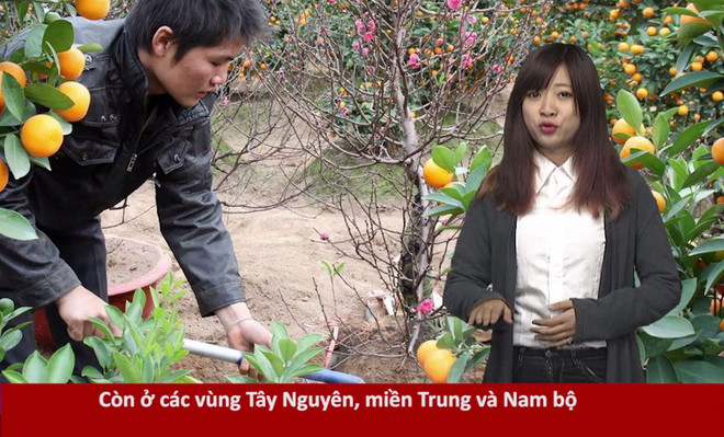 RapNews 30: Ngân hàng "0 đồng" và chai nước ngọt nửa tỷ ảnh 1