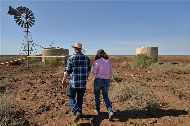 Hạn hán làm cạn kiệt nguồn dự trữ nước của thành phố Sydney ảnh 1