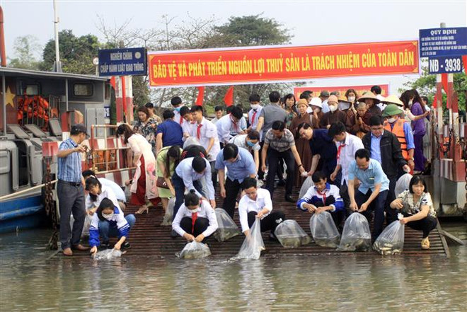 Cần giải pháp gỡ khó để ngành nuôi biển có thể tiếp tục vươn khơi ảnh 2
