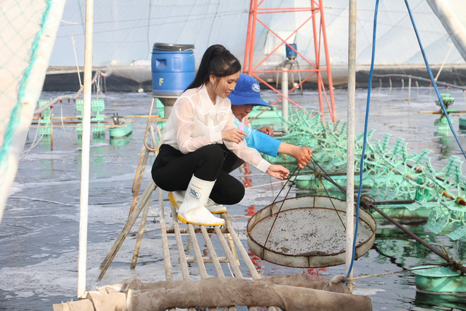 ttxvn_nong dan Ben tre.jpg