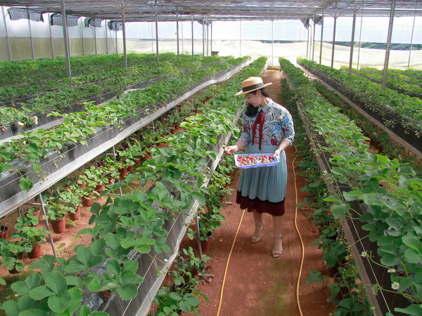 Cách mạng 4.0 trong nông nghiệp: Đi tìm cách tiếp cận hợp lý ảnh 2