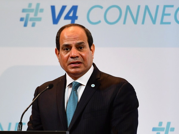 Ai Cập tái khẳng định ủng hộ thành lập nhà nước Palestine ảnh 1