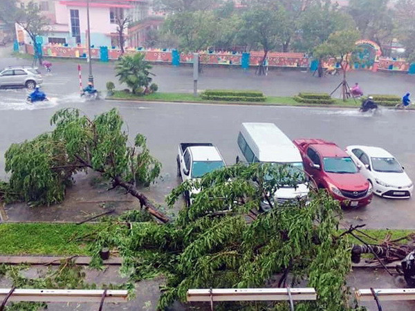 Quảng Bình đến Phú Yên còn mưa rất to, nguy cơ cao về lũ quét ảnh 1