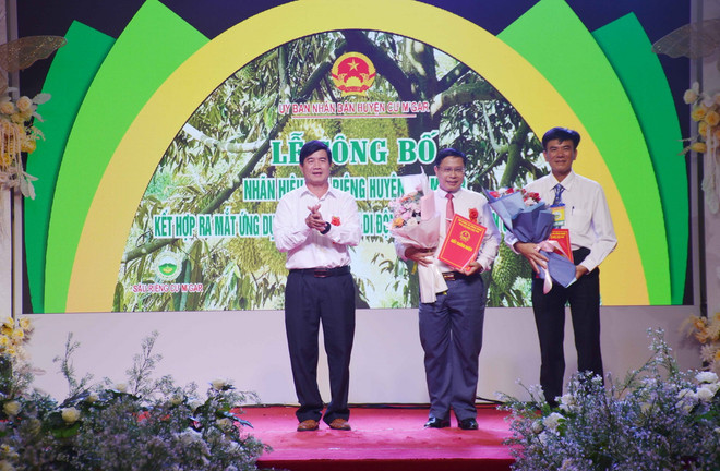 ttxvn_sau rieng Dak Lak.jpg