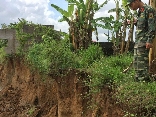 Khai thác cát trái sạt lở bờ sông Đồng Nai: Chính quyền kêu khó xử lý ảnh 1