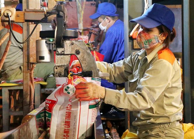 Cung vượt cầu, giá phân bón ure trong nước sẽ biến động ra sao? ảnh 2