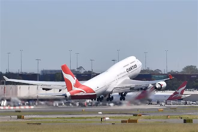 Hãng hàng không Qantas sa thải bất hợp pháp 1.700 nhân viên mặt đất ảnh 1