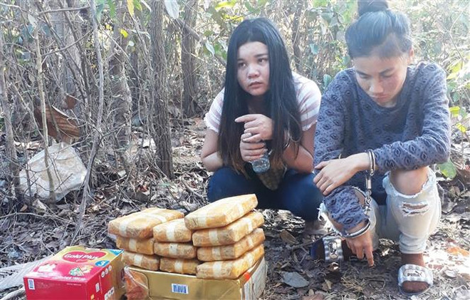 Triệt phá đường dây mua bán 60.000 viên ma túy qua biên giới ảnh 2