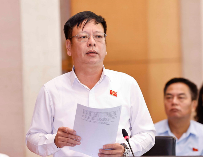 Đại biểu Quốc hội tỉnh Đắk Nông Nguyễn Trường Giang phát biểu. Ảnh: Doãn Tấn - TTXVN ttxvn_2908_dai bieu qh.jpg