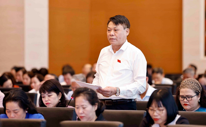 Đại biểu Quốc hội tỉnh Phú Thọ Nguyễn Thành Nam phát biểu. (Ảnh: Doãn Tấn/TTXVN) ttxvn_2908_nguyen thanh nam.jpg
