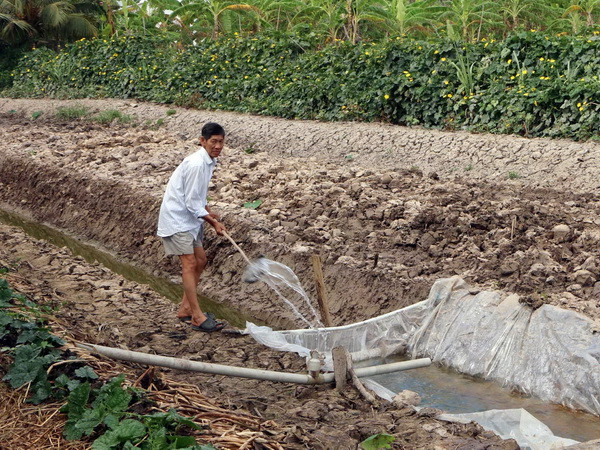 Nhận diện nguyên nhân và giải pháp ứng phó xâm nhập mặn ảnh 1