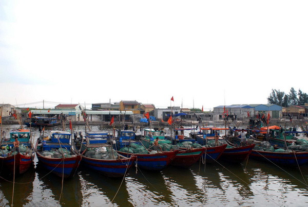 Thống nhất xây dựng ba bến neo đậu thuyền cho ngư dân Sầm Sơn ảnh 1