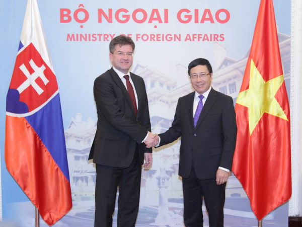 Thúc đẩy hợp tác giữa hai Bộ Ngoại giao Việt Nam và Slovakia ảnh 1